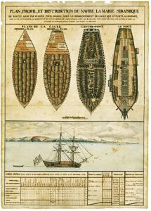 plan de coupes et profil d'un navire négrier armé à la Rochelle